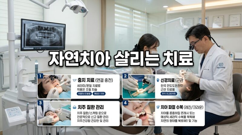자연치아 살리는 치료 발치 전 필수 확인 신경치료와 크라운 보존법 1 자연치아 살리는 치료 발치 전 필수 확인 신경치료와 크라운 보존법